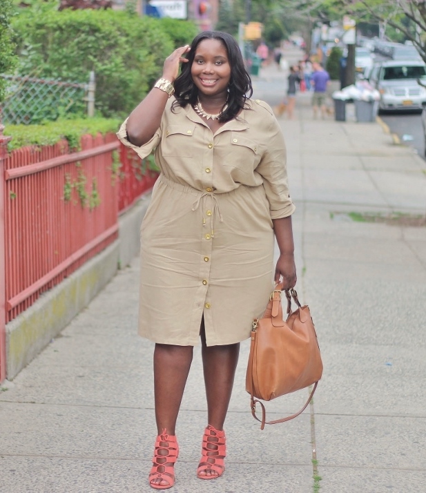 Shirtdress Chic